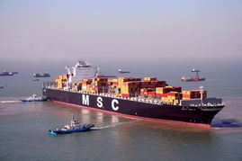 国际货运与仓储运输一体化 构建高效全球供应链的关键