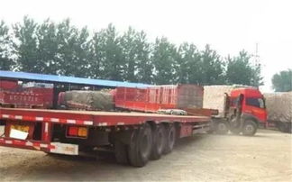 货运从业资格证调整遇阻 有驾照仍需资格证，道路货物运输规范化进程中的阵痛